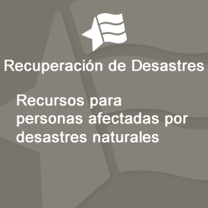 Disaster Recovery Services Logo in Spanish (300px by 300px)