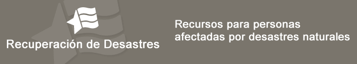 Disaster Recovery Services in Spanish (728px by 132px)